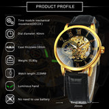 Classic Skeleton Mechanical Watch for Men Luminous Hands Forsining Watches W660H